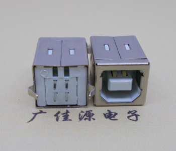 衡阳USB BF180度母座 打印机接口 立式直插带赛