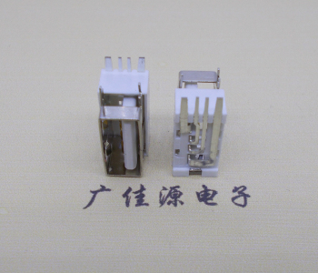 衡阳USB侧立式短体10.0尺寸 侧插加宽脚5A大电流插座