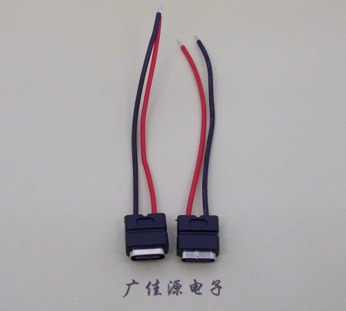 衡阳type c2p防水母座焊线式带线注塑成型带接线端子/不带接线端子充电连接器