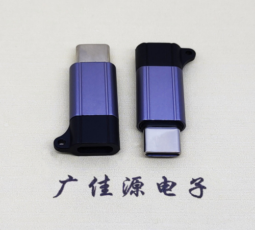 衡阳Type-C母转Type-C公 USB3.1 PD100W快冲接口